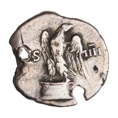 Denarius - Domitian COS IIII back