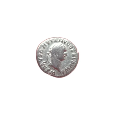 Denarius - Domitian COS VII DES VIII P P front
