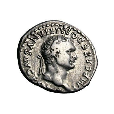 Denarius - Domitian COS VII DES VIII P P front