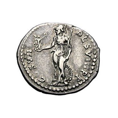 Denarius - Domitian COS VII DES VIII P P back