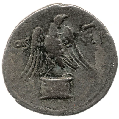 Denarius - Domitian COS VII back