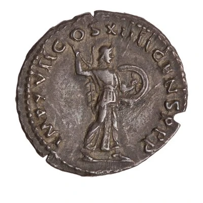 Denarius - Domitian IMP XVII COS XIIII CENS P P P; Minerva back