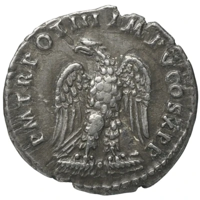 Denarius - Domitian P M TR POT III IMP V COS X P P back