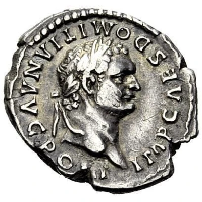 Denarius - Domitian P P COS VII DES VIII front