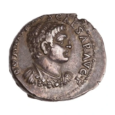 Denarius - Domitian PACI ORB TERR AVG EPHE front