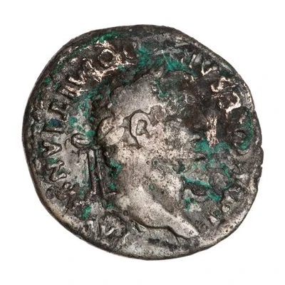 Denarius - Domitian TP P COS VII front