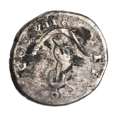 Denarius - Domitian TP P COS VII back