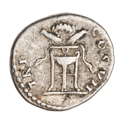 Denarius - Domitian TP P COS VII back