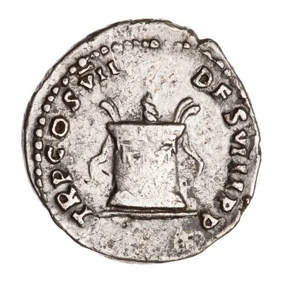 Denarius - Domitian TR P COS VII DES VIII P P back