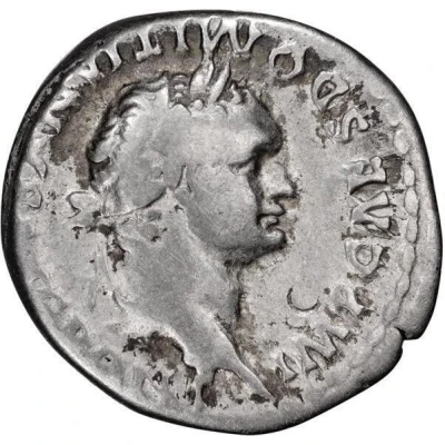 Denarius - Domitian TR P COS VII DES VIII P P front