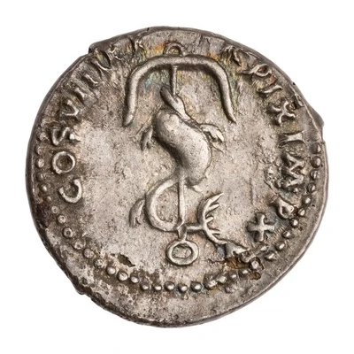 Denarius - Domitian TR POT COS VIII P P back