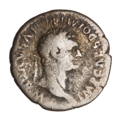 Denarius - Domitian TR POT COS VIII P P front