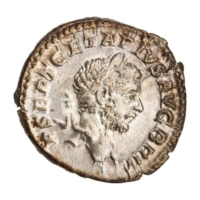 Denarius - Geta ADVENTVS AVGVSTI front