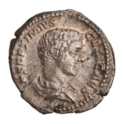 Denarius - Geta COS front