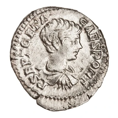 Denarius - Geta FELICITAS PVBLICA; Felicitas front