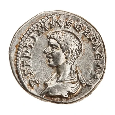 Denarius - Geta MINERV SANCT; Minerva front