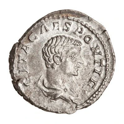 Denarius - Geta MINERVA; Minerva front
