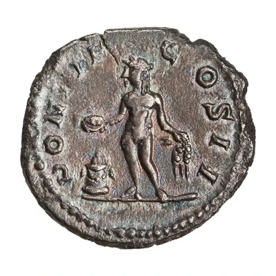 Denarius - Geta PONTIF COS II; Genius back