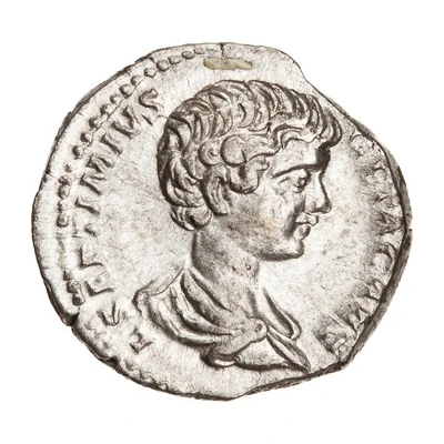 Denarius - Geta SEVERI PII AVG FIL front