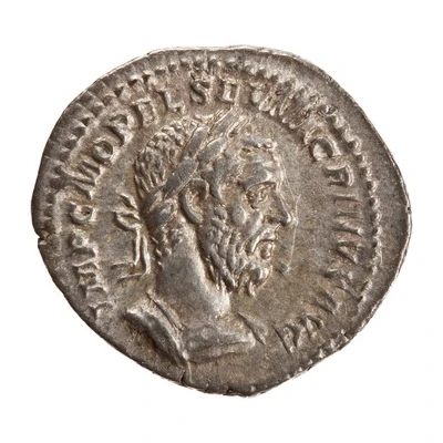 Denarius - Macrinus PONTIF MAX TR P COS P P; Fides front