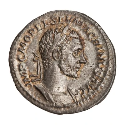 Denarius - Macrinus SALVS PVBLICA; Salus front