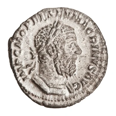 Denarius - Macrinus SALVS PVBLICA; Salus front