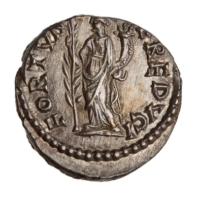 Denarius - Pescennius Niger FORTVNAE REDVCI; Fortuna back