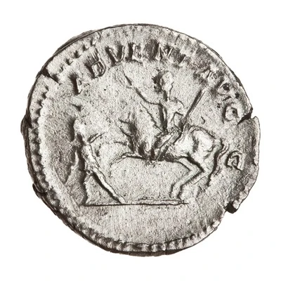 Denarius - Septimius Severus ADVENT AVGG back