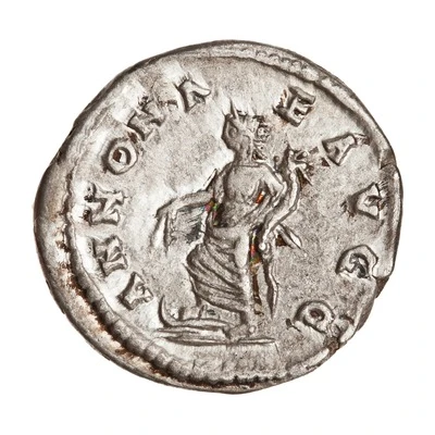 Denarius - Septimius Severus ANNONAE AVGG; Annona back