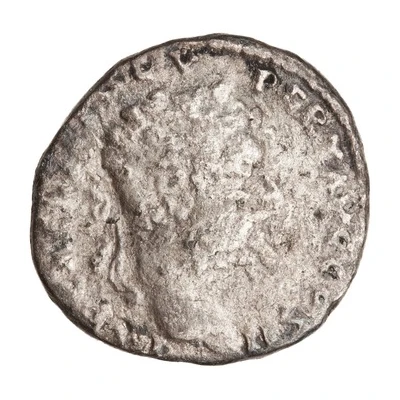 Denarius - Septimius Severus FELICIT TEMPOR front
