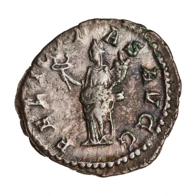 Denarius - Septimius Severus FELICITAS AVGG; Felicitas back