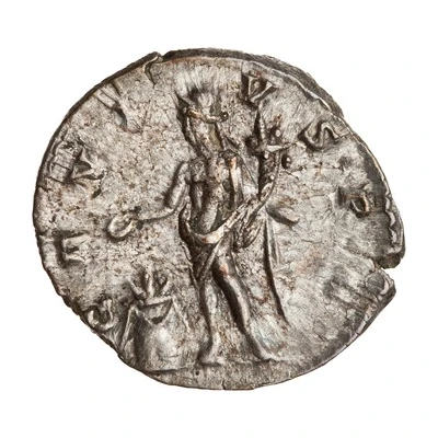 Denarius - Septimius Severus GENIVS P R; Genius back