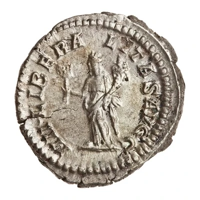Denarius - Septimius Severus IIII LIBERALITAS AVGG; Liberalitas back