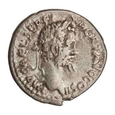 Denarius - Septimius Severus INVICTO IMP I front