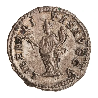 Denarius - Septimius Severus LIBERALITAS AVGG V; Liberalitas back