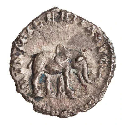 Denarius - Septimius Severus MVNIFICENTIA AVG back