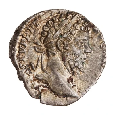 Denarius - Septimius Severus MVNIFICENTIA AVG front