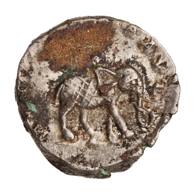 Denarius - Septimius Severus MVNIFICENTIA AVG back