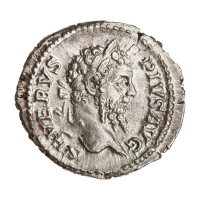 Denarius - Septimius Severus P M TR P XVI COS III P P; Salus front