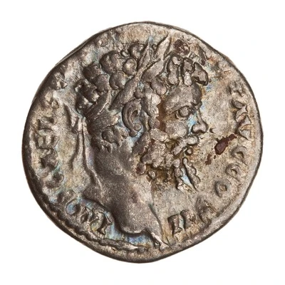 Denarius - Septimius Severus PIETAT AVG front
