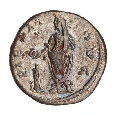 Denarius - Septimius Severus PIETAT AVG back