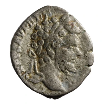 Denarius - Septimius Severus SALVTI AVG; Salus front