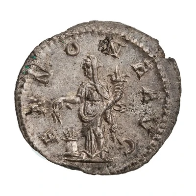 Denarius - Severus Alexander ANNONA AVG; Annona back