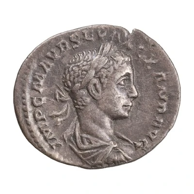 Denarius - Severus Alexander LIBERTAS AVG; Libertas front