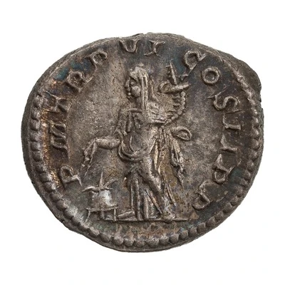 Denarius - Severus Alexander P M TR P VI COS II P P; Annona back