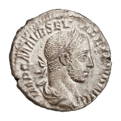 Denarius - Severus Alexander P M TR P VII COS II P P; Pax front