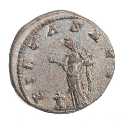 Denarius - Severus Alexander PIETAS AVG; Pietas back