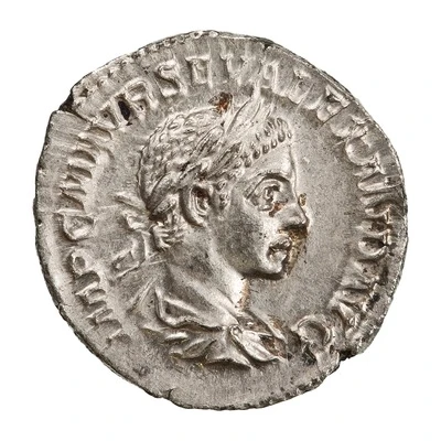 Denarius - Severus Alexander SALVS PVBLICA; Salus front