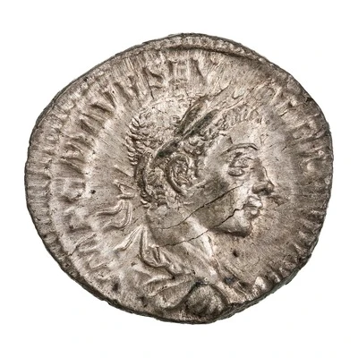 Denarius - Severus Alexander SALVS PVBLICA; Salus front