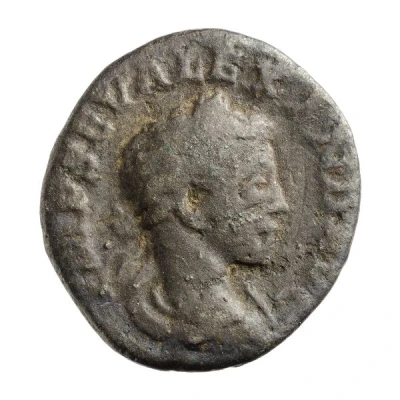 Denarius - Severus Alexander SALVS PVBLICA; Salus front